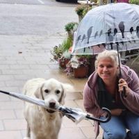 Hondenoppas Beverwijk: Patricia 