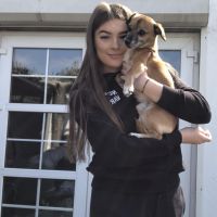 Hondenoppas Maastricht: Stevie