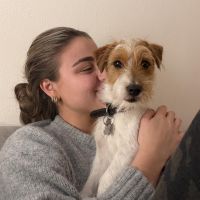 Hondenoppas Amersfoort: Bibi