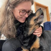 Hondenoppas Terkaple: Lies