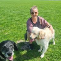 Hondenopvang Den Haag: Diana 