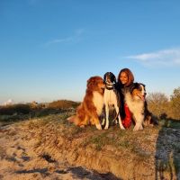 Hondenopvang Den Helder: Mendy