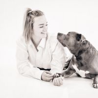 Hondenopvang IJmuiden: Dominique