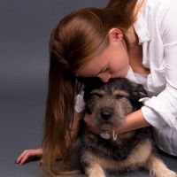 Hondenoppas Spijkenisse: Charlotte