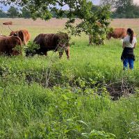 Hondenoppas Veendam: Marit