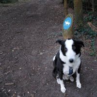 Hondenoppas werk Den Haag: baasje van Sotiris
