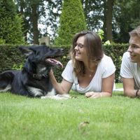 Hondenoppas Enschede: Daniël & Kirsten
