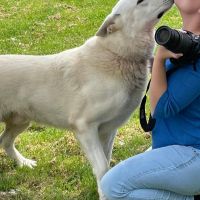 Hondenoppas Heerhugowaard: Linda