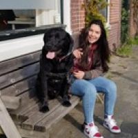 Hondenuitlaatservice Enschede: Roosmarijn