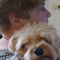 Hondenoppas werk Zwolle: baasje van Benji