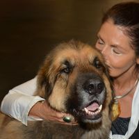 Hondenoppas werk Loosdrecht: baasje van Romeo 