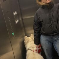 Hondenoppas Almere: Veronique
