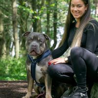 Hondenoppas werk Heerlen: baasje van Blue