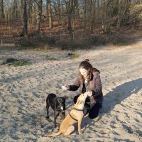 Hondenoppas Den Haag: Laurien