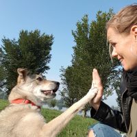 Hondenoppas Almere: Ingrid