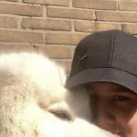 Hondenuitlaatservice Hoogeveen: Jenoah de Vos
