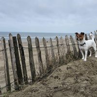 Hondenoppas werk Nunspeet: baasje van Lucky