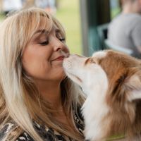 Hondenopvang Helmond: An