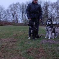 Hondenoppas werk Milsbeek: baasje van Willow en Nera