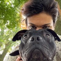 Hondenopvang Den Haag: Mery