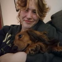 Hondenoppas Den Haag: Ash