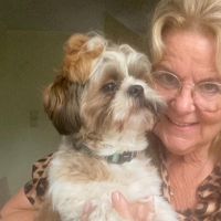 Hondenoppas werk Zeist: baasje van Don Vito