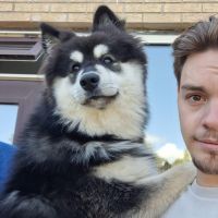 Hondenoppas Kampen (Overijssel): Remi