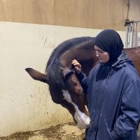 Hondenuitlaatservice Amsterdam: Youssra