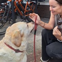 Hondenoppas Voorburg: Michelle