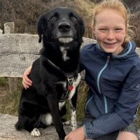 Hondenoppas Nijmegen: Hannah