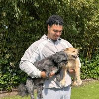 Hondenuitlaatservice Zuidoostbeemster: Luis