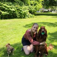 Hondenuitlaatservice Wassenaar: Fleur