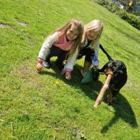 Hondenopvang Purmerend: Wendy