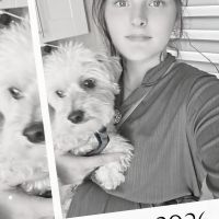 Hondenopvang Purmerend: Wendy