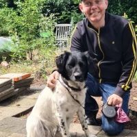 Hondenopvang Utrecht: Leo 