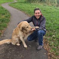 Hondenopvang Utrecht: Leo 