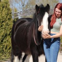 Hondenoppas Emmen (Drenthe): Eva