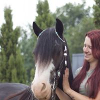 Hondenoppas Emmen (Drenthe): Eva