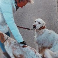 Hondenopvang Hoofddorp: Paula