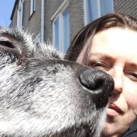 Hondenoppas Koudekerke: Jolien