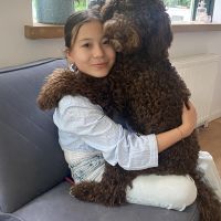 Hondenoppas werk Baarn: baasje van Bubbles en Ruby