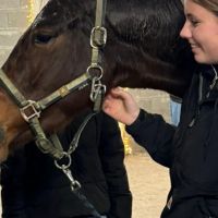 Hondenuitlaatservice Nieuw-Amsterdam: Jacey