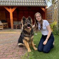Hondenoppas Veenendaal: Gabrielle
