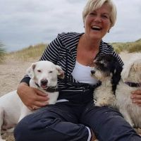 Hondenopvang Den Haag: Ilona