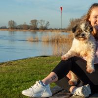 Hondenoppas Hattem: Gera