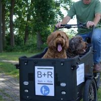 Hondenuitlaatservice Oisterwijk: Bark + Ride