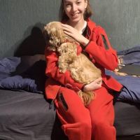Hondenoppas Nijkerk: Nadila 