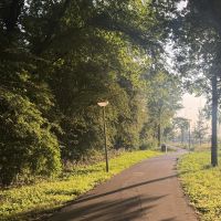 Hondenuitlaatservice Amsterdam: Borislav. M