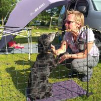 Hondenoppas Sittard: Marjo