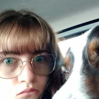 Hondenoppas Eindhoven: Tess